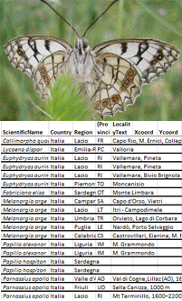 Melanargia arge